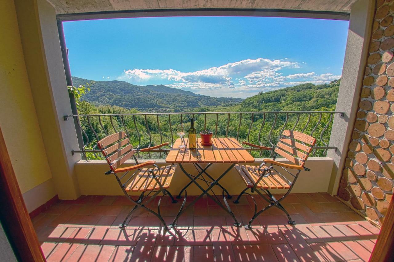 Cebron Family Estate Hotel Branik Buitenkant foto