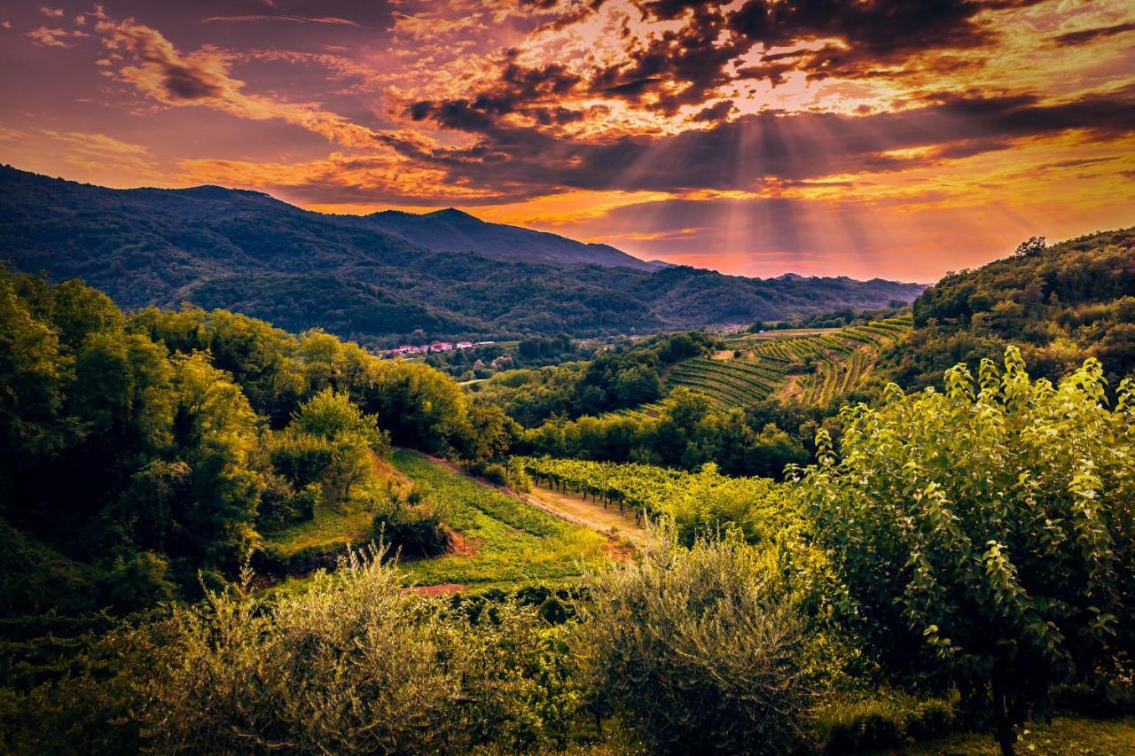 Cebron Family Estate Hotel Branik Buitenkant foto